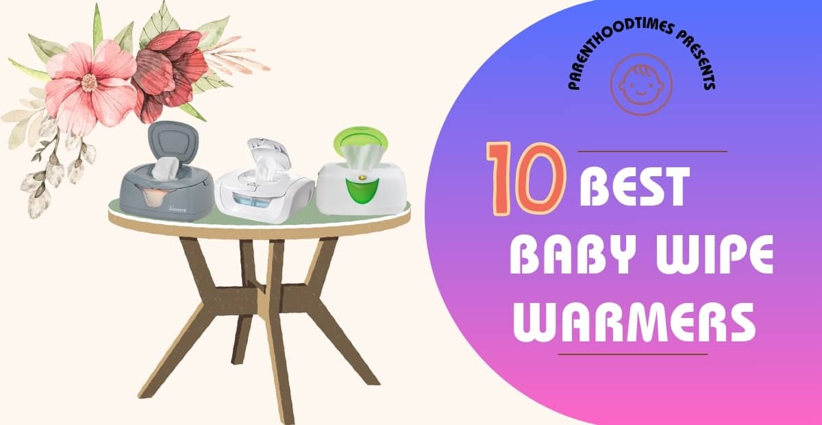 Best Baby Wipe Warmers