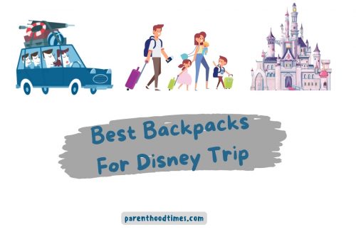 Best Backpacks For Disney World