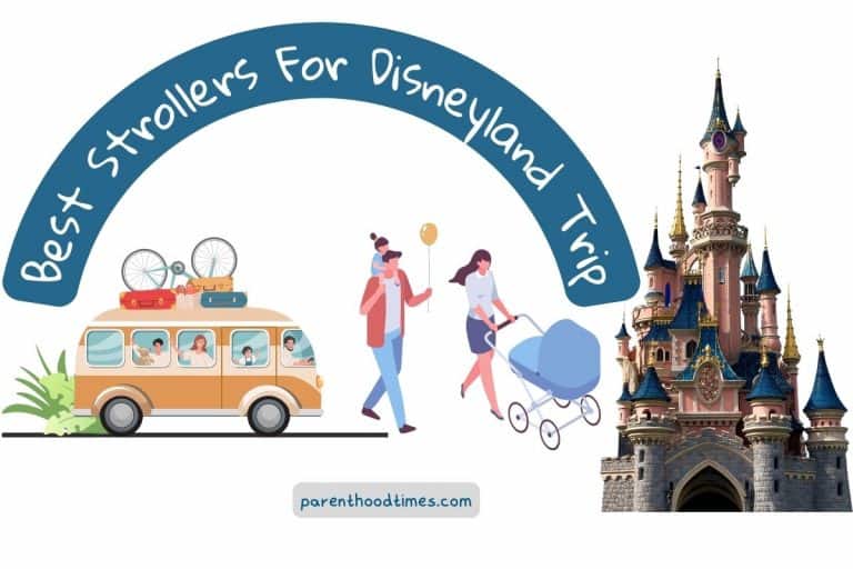 10 Best Strollers For Disney in 2023